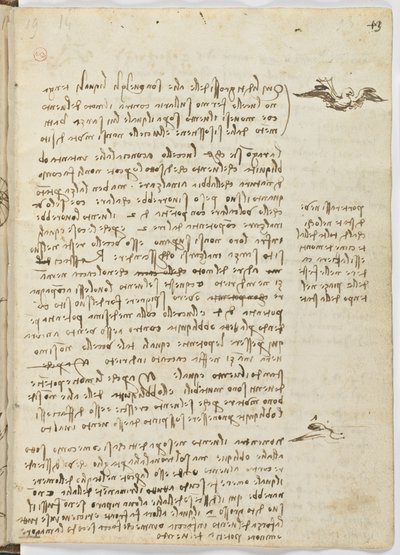 Code sur le vol des oiseaux, c. 1505-06, manuscrit sur papier, cc. 18, feuille 13 recto - Leonardo da Vinci